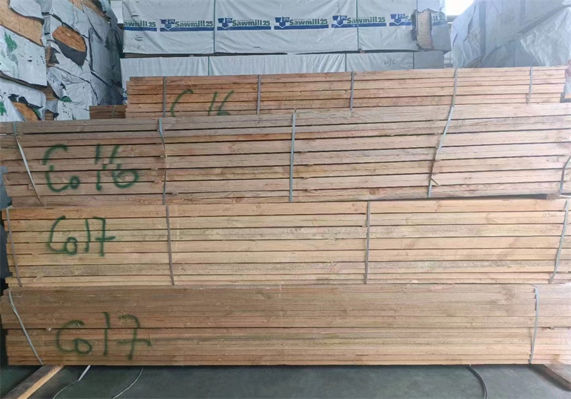 White Russian pine